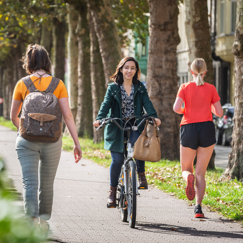 Woman riding a bike down a tree lined street with 2 people walking next to her