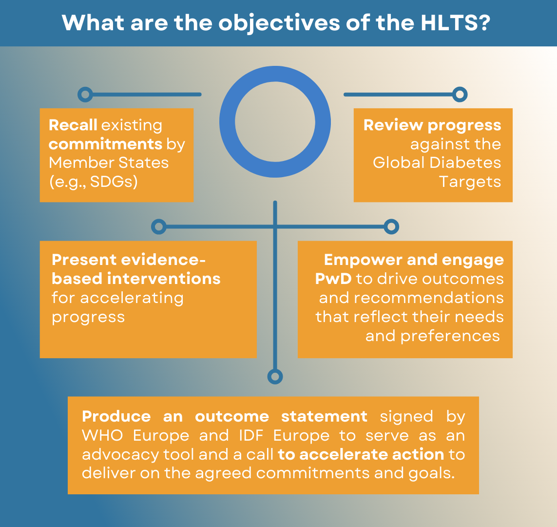 https://media.idf.org/media/uploads/sites/2/2023/10/HLTS-objectives-2.png