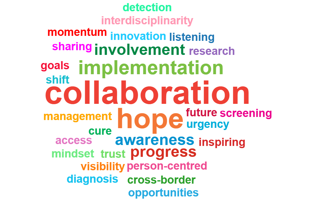 https://media.idf.org/media/uploads/sites/2/2025/12/wooclap_wordcloud-1.png